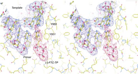 Fig S2 Stereoview For The Electron Density Map 2fo Fc 15 Sigma