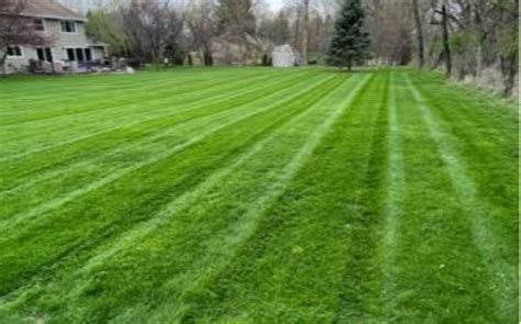 C Chicks Scapes Lawn Care Services In Albuquerque Nm