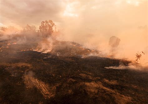 Australian wildfires boost forecast 2020 carbon dioxide rise