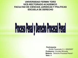 El Proceso Penal Y El Derecho Procesal Penal Ppt