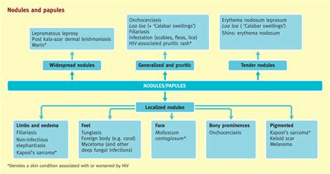 Diagnostic Approach To Tropical Skin Infections Medicine