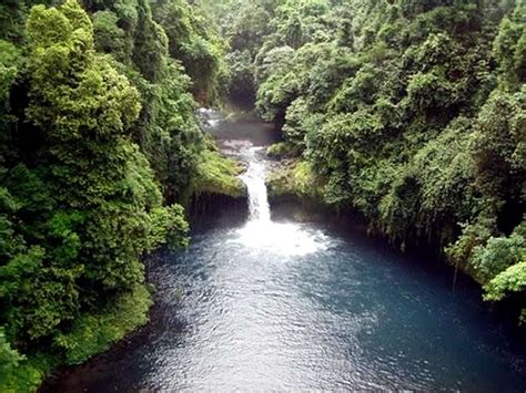 Picture Information Ureka On Bioko Island In Equatorial Guinea