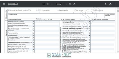 Formulario Dian Actualizado Mayo Hot Sex Picture