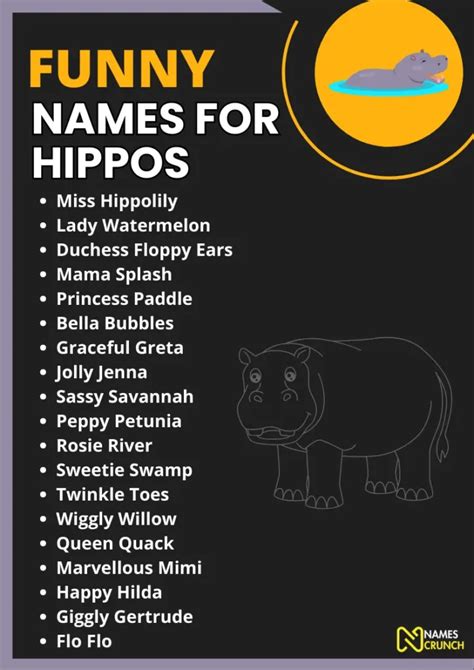 270 Funny Names For Hippos Names Crunch