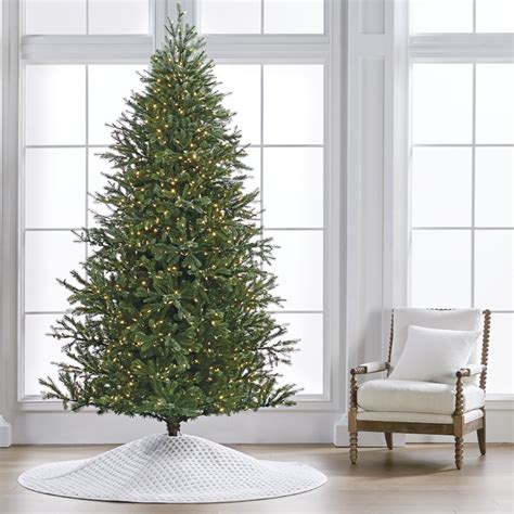 How To Choose The Perfect Tree Home Style