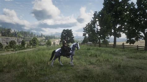 Silver dapple pinto rdr2