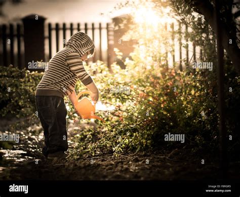 Une Personne Dans Le Jardin Arroser Banque De Photographies Et Dimages