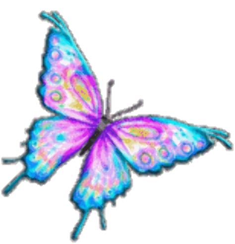 Download High Quality butterflies clipart animated Transparent PNG ...