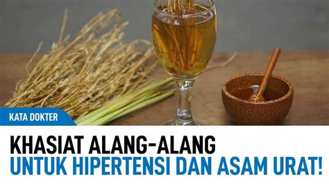 Cara Konsumsi Alang Alang Untuk Hipertensi Dan Asam Urat Kata Dokter