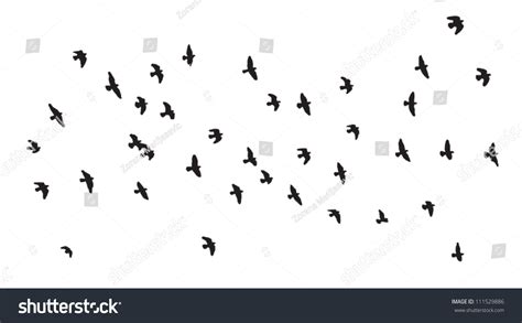 Flock Of Birds Silhouette Stock Vector 111529886 : Shutterstock