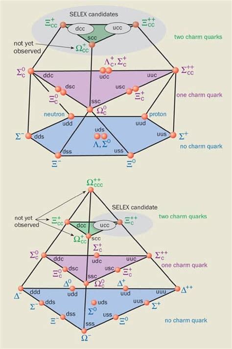 Charmed Particles At The Double Physics World