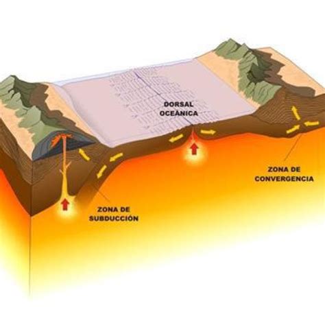 Teoria De Las Tectonicas De Las Placas Tect Nica De Placas Geology