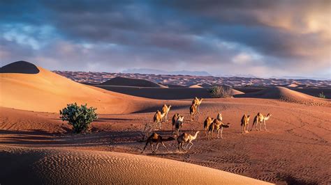 Creating dramatic desert photography - Photofocus