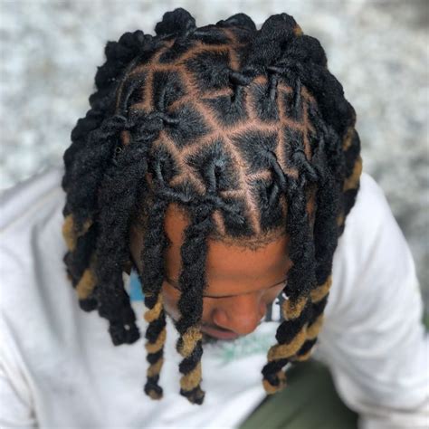 Loc Styles Loc Ropes Loc 2 Strand Dreads Dread Styles Mens Braids