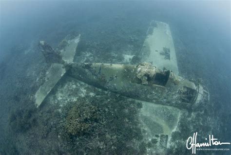 Found The F F Hellcat Lost In January Ww Wrecks