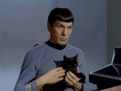 Spock Star Trek GIF - Spock StarTrek Serious - Discover & Share GIFs