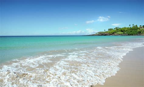 Tropical Beach And Surf - Hawaii by Birdimages