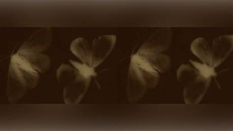 banner header twitter discord butterfly soft brown core in 2024 ...