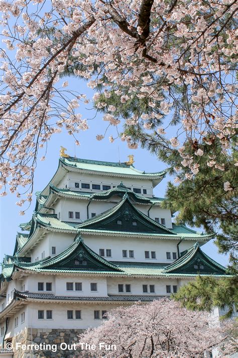 Unique Things to Do in Nagoya, Japan - Ferreting Out the Fun