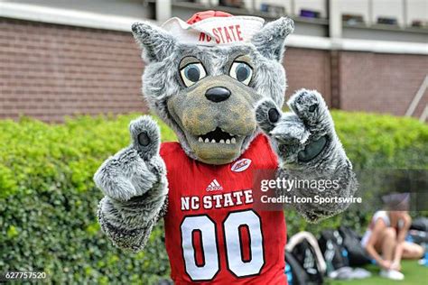 Nc State Wolfpack Mascot Photos and Premium High Res Pictures - Getty Images