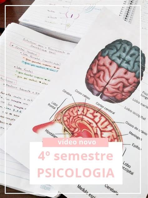 A Table Topped With Notebooks And Papers Filled With Brain Images