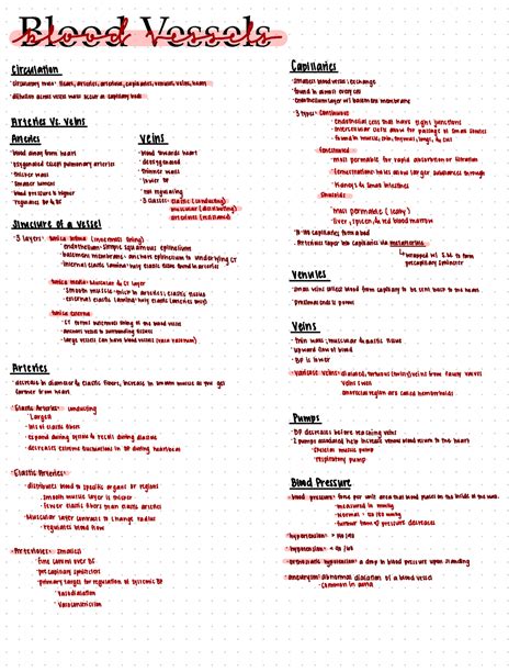 Blood Vessels Blood Vessels Circulation Capillaries Circulatory Route