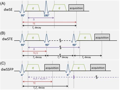 Diffusion Weighted Radiofrequency Rf Pulse Sequences A