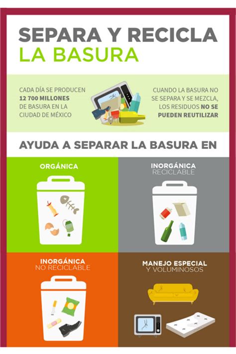 ¿cómo Debes Separar La Basura En La Ciudad De México