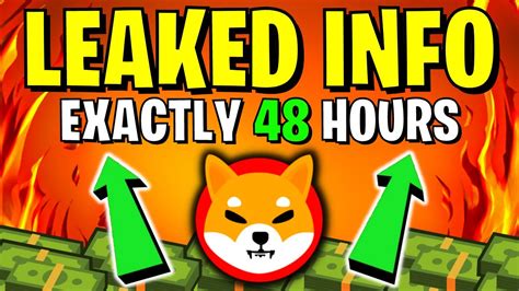 SHIBA INU CEO REVEALED SECRET PRICE PUMP IN 48 HOURS EXACTLY