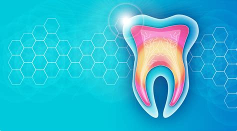 Dental Stem Cells: Current Research and Practical Applications ...