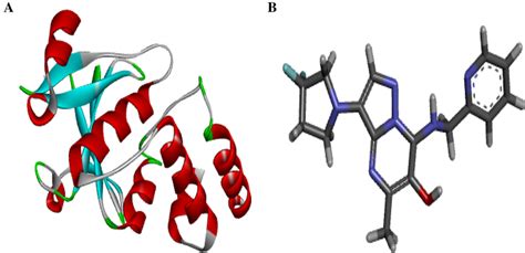 A D Structure Of Prepared Receptor Otu Deubiquitinase B D Structure