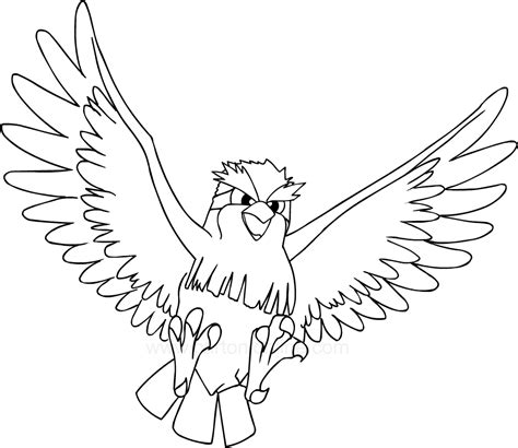 Pokemon Pidgeot Ausmalbilder Pidgey Ausmalbild Lineart Gerbil Lilly