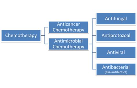 Fs2 Unit 3 Antibiotics Flashcards Quizlet