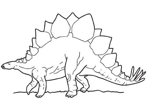 stegosaurus clipart black and white - Clipground