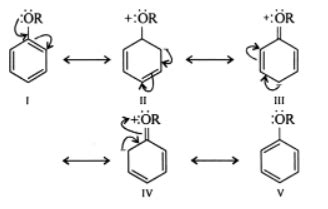 Explain The Fact That In Aryl Alkyl Ethers The Alkoxy Group Directs The