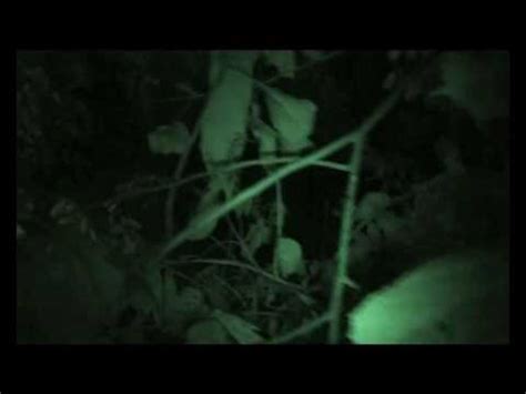 Erotic Pussy In The Wild Wet Jungle YouTube