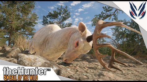 The Hunter Cotw Cerf De Virginie Albinos Diamant Farm Rancho Del