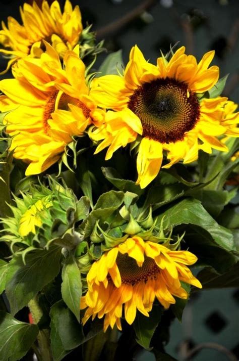 A Vase Filled With Yellow Sunflowers Sitting On Top Of A Green Planter