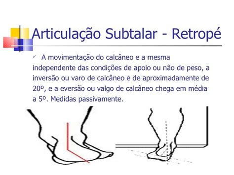 Biomecanica do pé e tornozelo