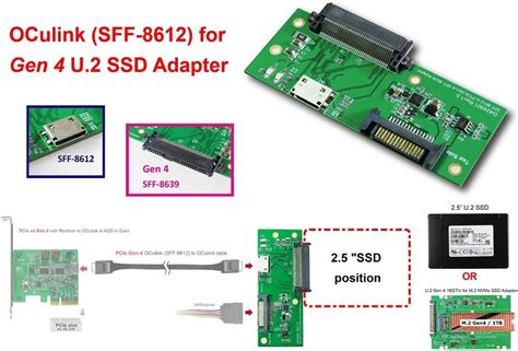 Buy PCIe Gen4 16GT S OCulink SFF 8612 For U 2 SSD SFF 8639 Adapter