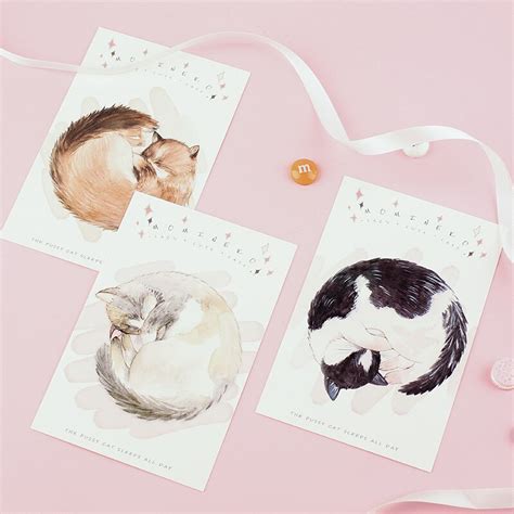 Stks Set Kawaii Kat Slapen Postkaart Wenskaart Vicedeal