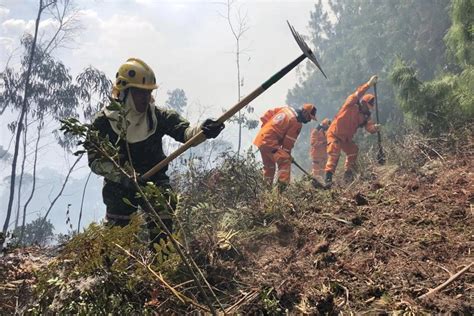 Colombia Aumenta A 883 Los Municipios En Alerta Por Riesgo De Incendios