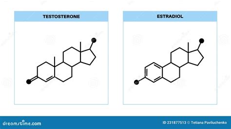 Estrogen Chemical Formula Estrogen Chemical Molecular Structure