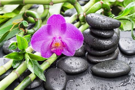 Spa Concept With Zen Stones Orchid Flower And Bamboo Stock Photo