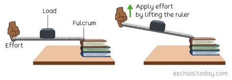 Class Two Lever Experiment Eschooltoday