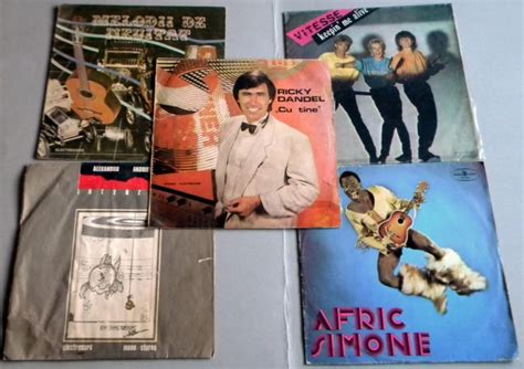 5 discuri de vinyl / vinil, Electrecord anii 80, Dandel, Andries ...