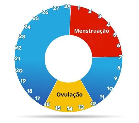 Ciclo Menstrual O Que Fases Per Odo F Rtil Biologia Net