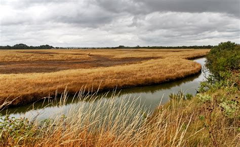 Top 10 Photographe Charente Maritime En 2023