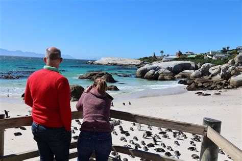 Cape Town: Penguin Watching At Boulders Beach Half Day Tour