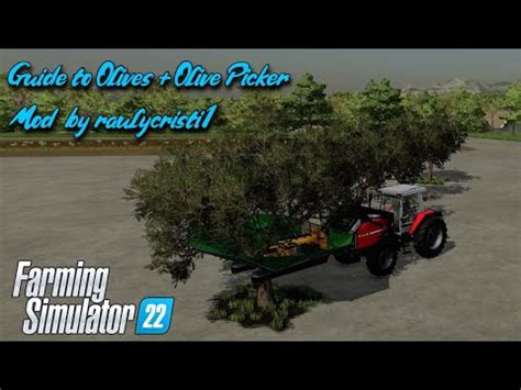 Guide To Olives Olive Picker Raulycristi Fs Ps Farming